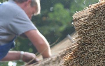 professional Lamphey thatchers