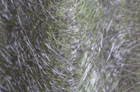 Lamphey fibreglass roof work